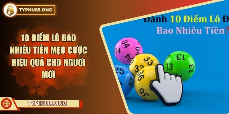 10 Điểm Lô Bao Nhiêu Tiền Mẹo Cược Hiệu Quả Cho Người Mới