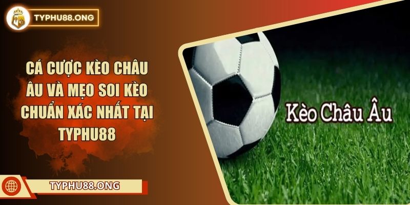 Cá Cược Kèo Châu Âu Và Mẹo Soi Kèo Chuẩn Xác Nhất Tại TYPHU88