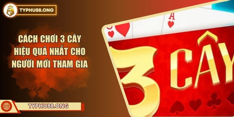 Cách Chơi 3 Cây Hiệu Quả Nhất Cho Người Mới Tham Gia