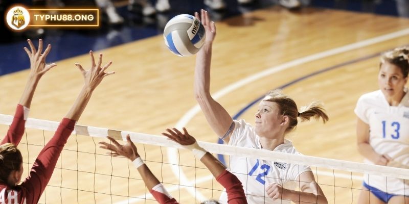 Cược chấp trong bóng chuyền