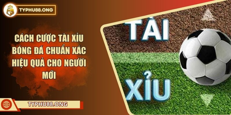 Cách Cược Tài Xỉu Bóng Đá Chuẩn Xác Hiệu Quả Cho Người Mới