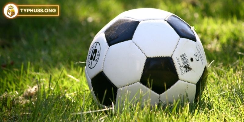 Cược xiên thua nửa tiền trong bóng đá là gì?