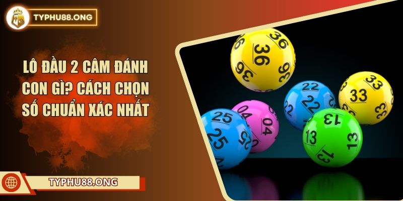 Lô Đầu 2 Câm Đánh Con Gì? Cách Chọn Số Chuẩn Xác Nhất