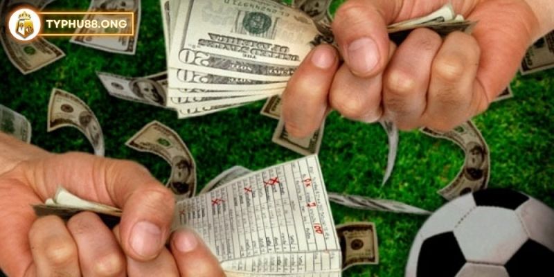 Tối ưu hóa lợi nhuận