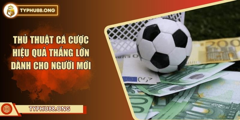 Thủ Thuật Cá Cược Hiệu Quả Thắng Lớn Dành Cho Người Mới