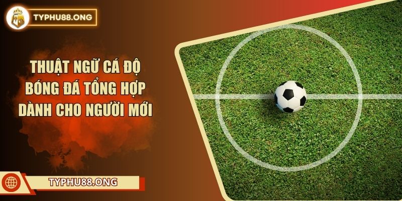 Thuật Ngữ Cá Độ Bóng Đá Tổng Hợp Dành Cho Người Mới